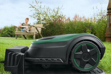 Robotgrasmaaier kopen online, tips voor beste robot grasmaaier